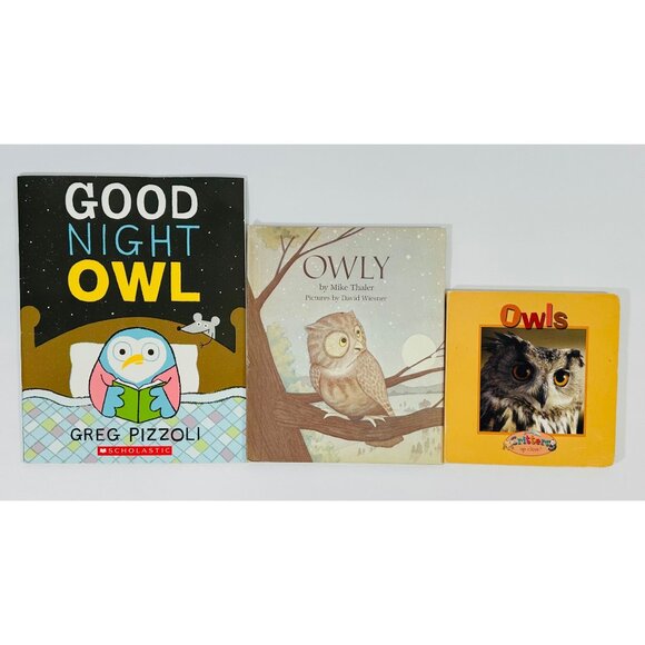 Owl Themed Childrens Books Good Night Owl Owly & Owls By Scholastic & Weekly Rea - Picture 2 of 3
